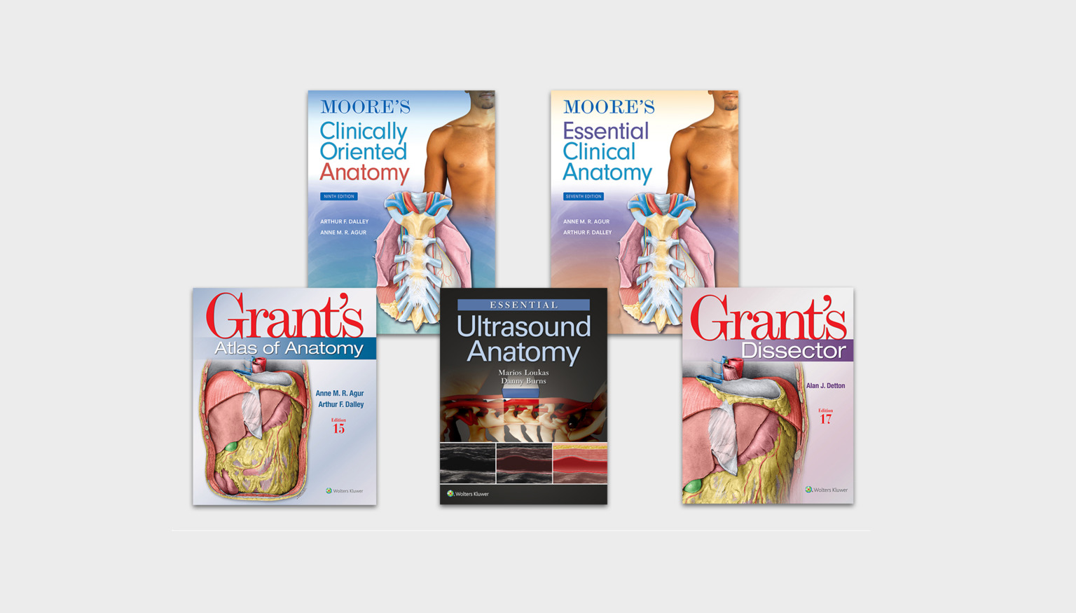 Lippincott Medicine Anatomy Titles Graphic