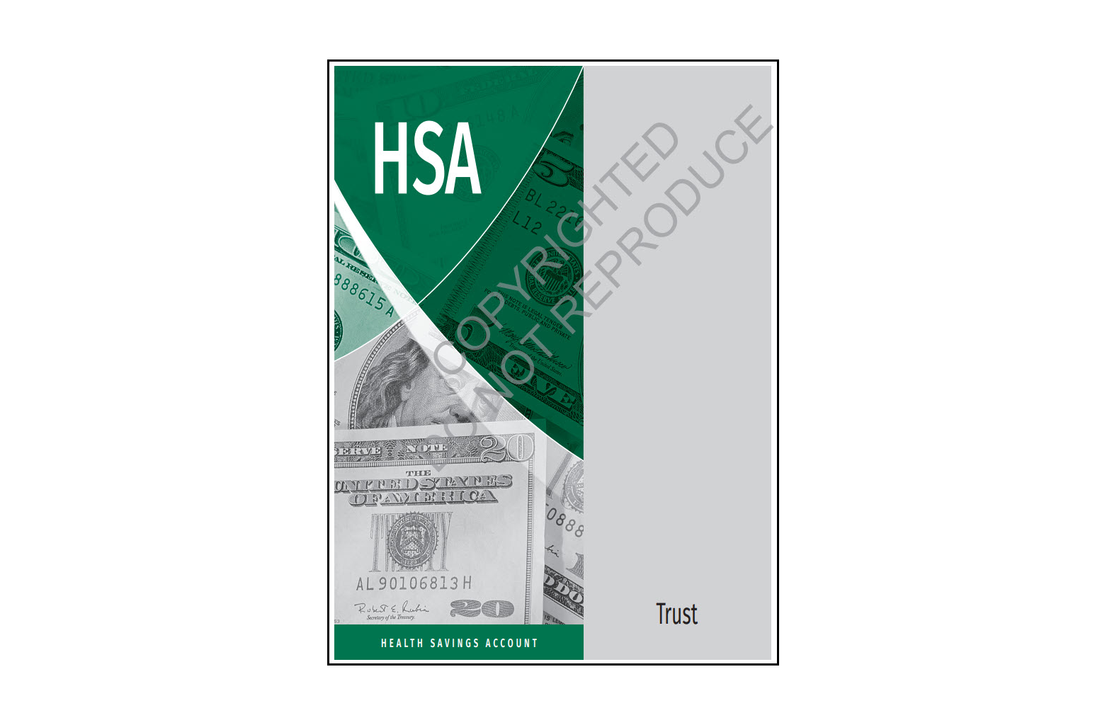 Health savings account organizer - trust sample