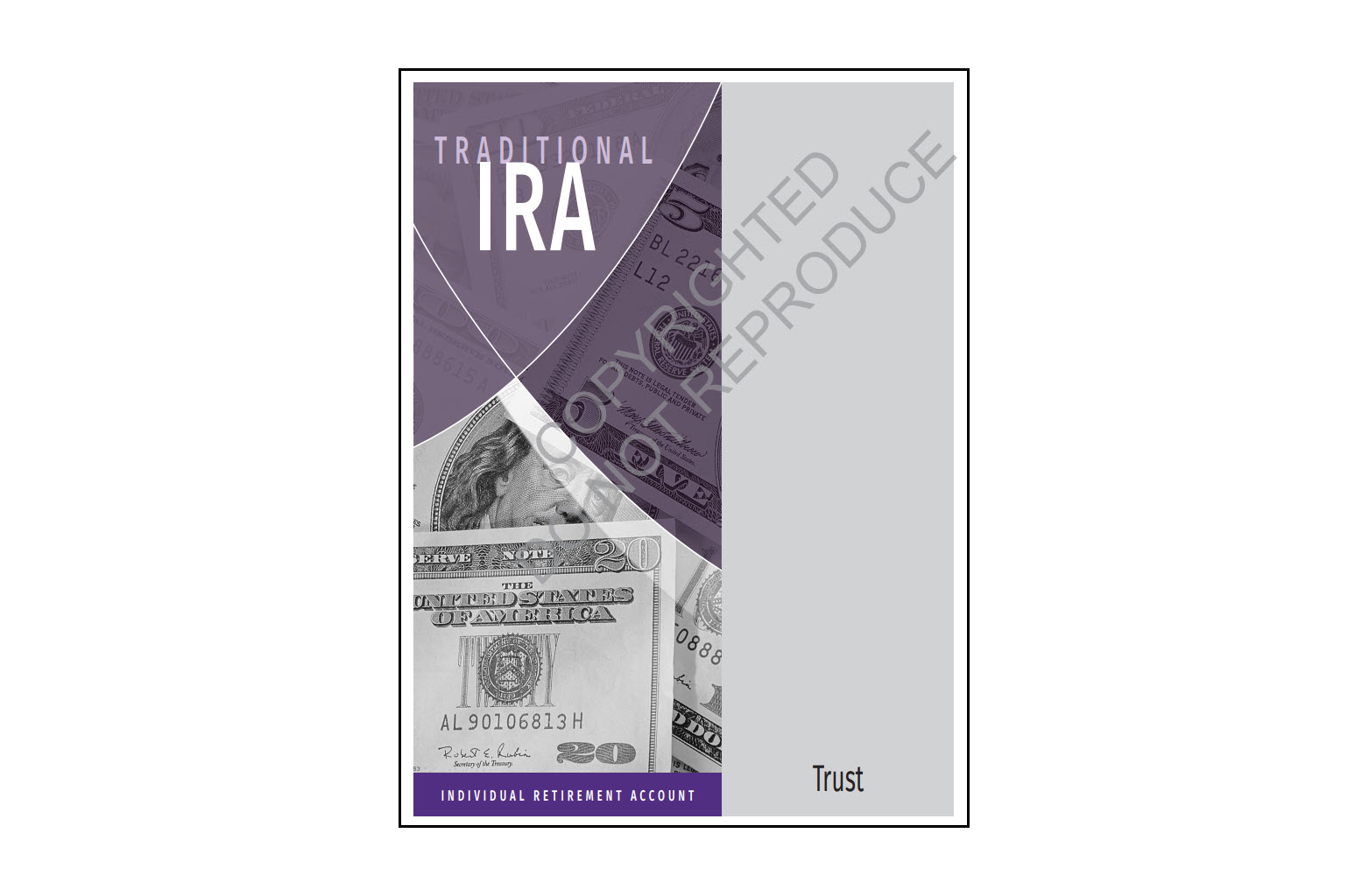 Traditional IRA Organizer - Trust sample