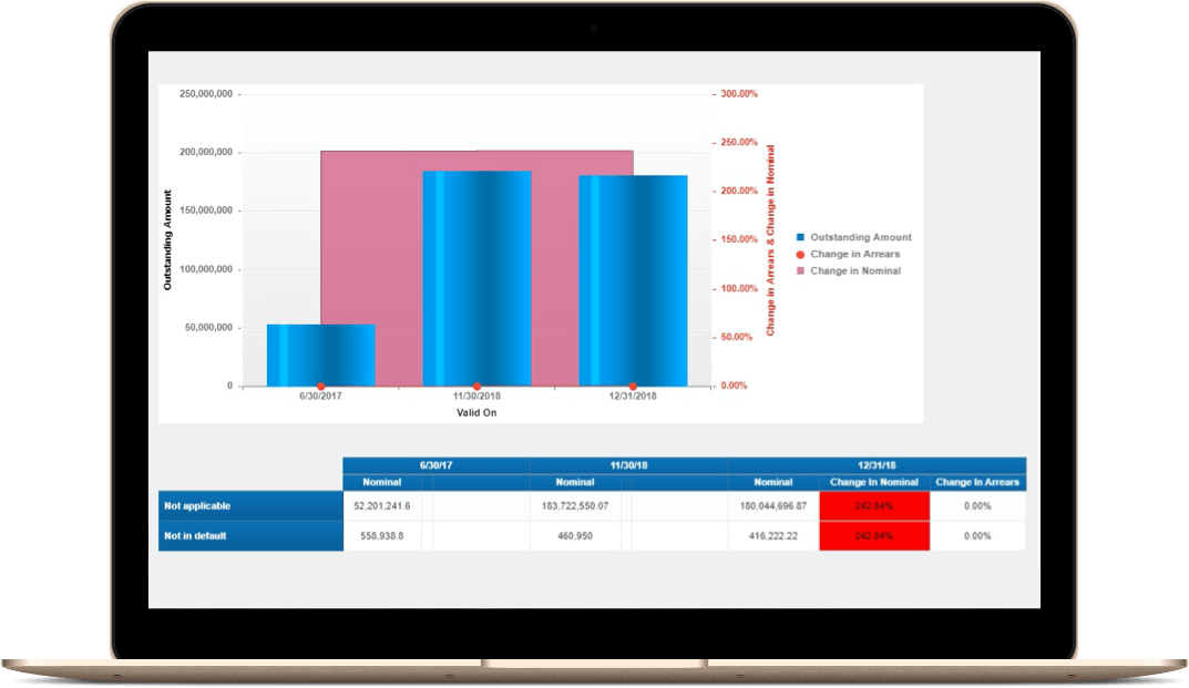 Anacredit Loan Status