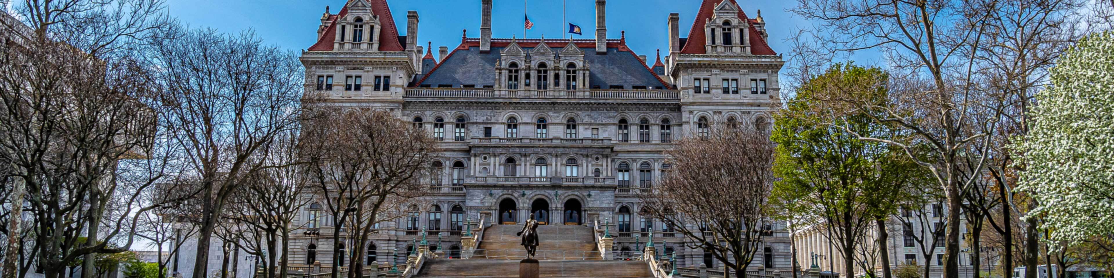 NY state capitol building requiring NYS vendor IDs