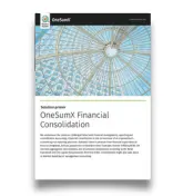 Onesumx Financial Consolidation thumbnail