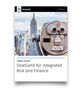 onesumx for integrated risk thumbnail