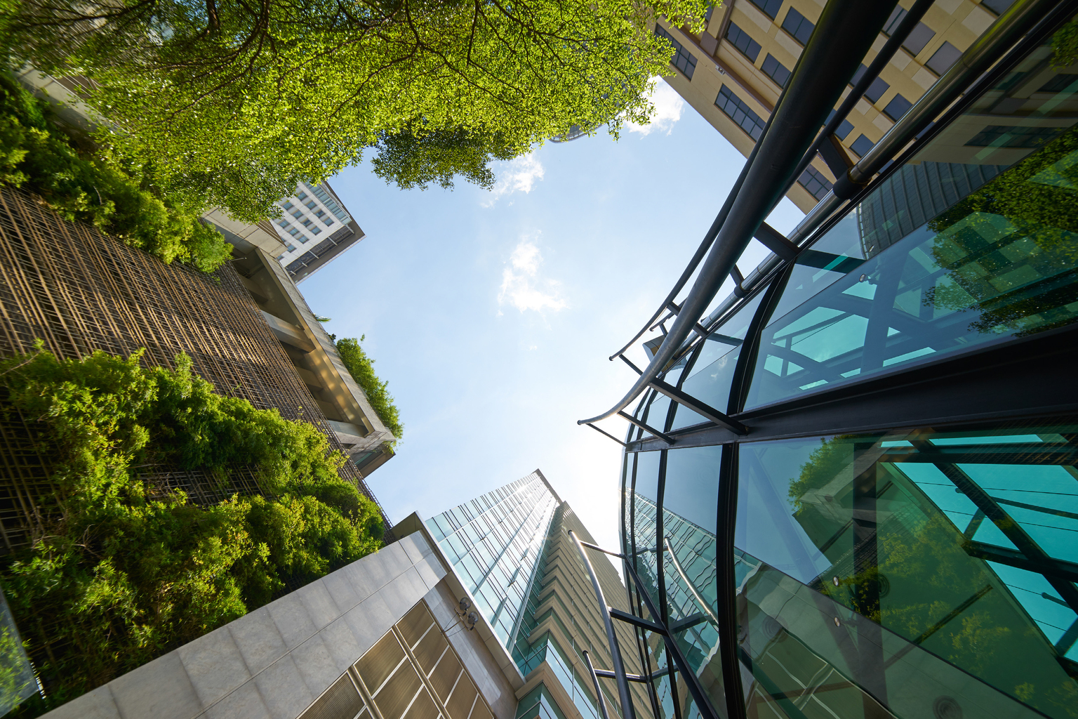 Modern building with green plants